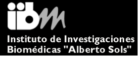 iibm logo