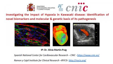 CNIC PhD offer: Investigating the impact of Hypoxia in Kawasaki disease